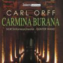 ORFF, C.: Carmina Burana (Hamburg Boys Choir, Hannover Niedersachs State Opera Orchestra, Wand)专辑