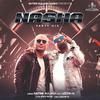 Satbir Aulakh - NASHA Party Mix