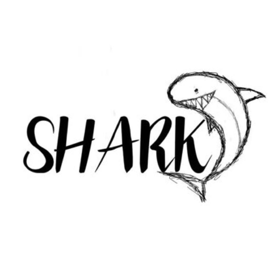 Shark卫彬月 | 在线播放 | 网易云音乐