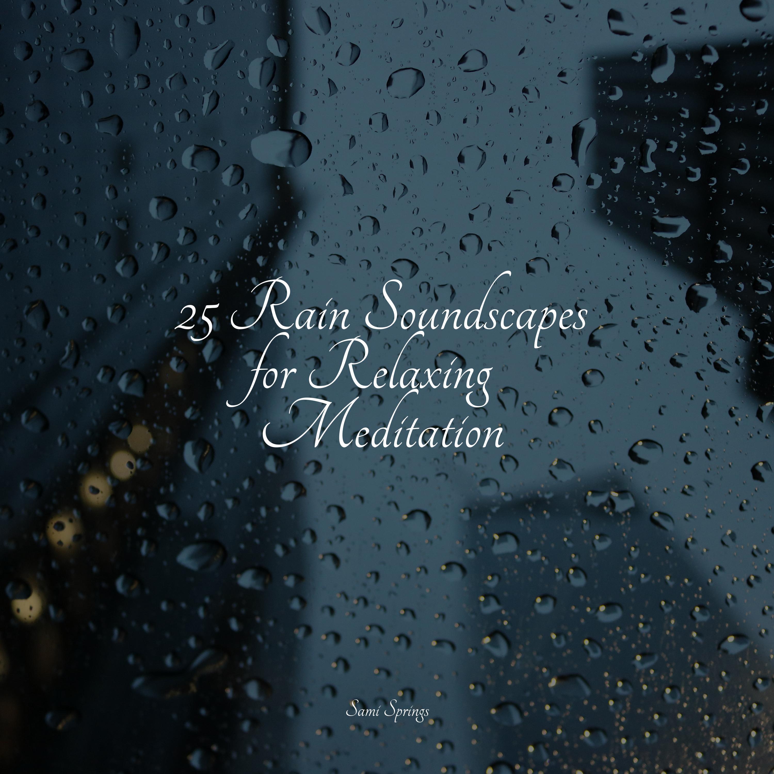 Relajantes sonidos de lluvia - Glass Rains