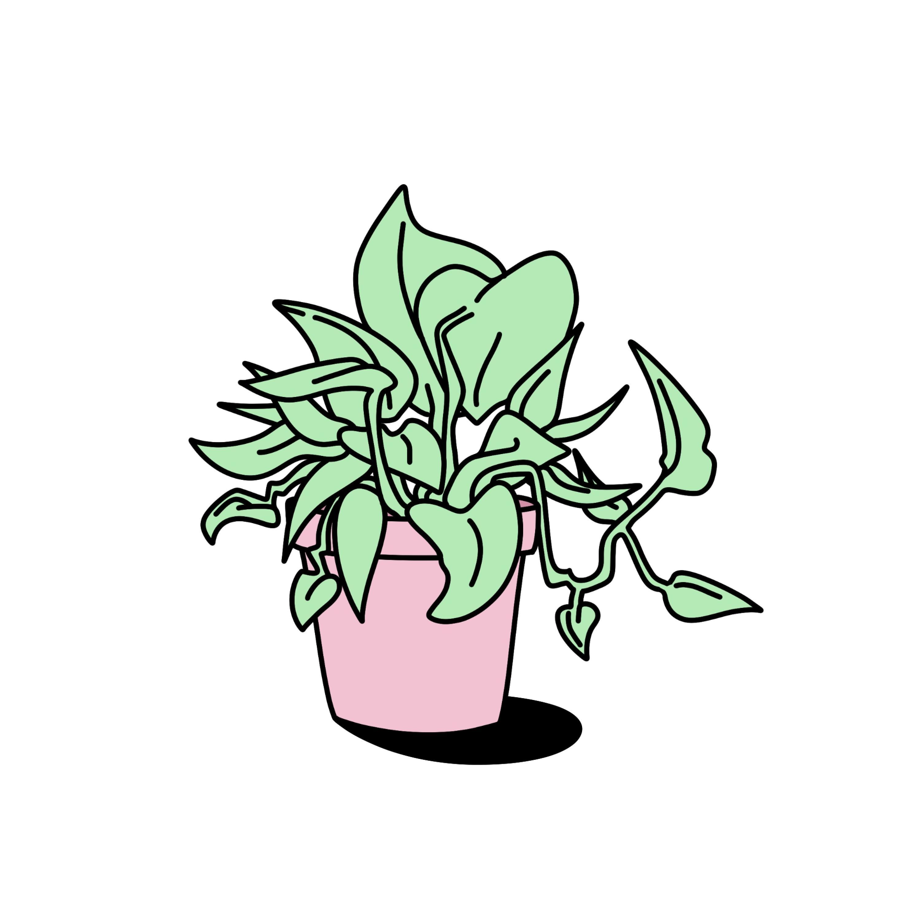 Room To Grow