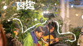 野生图鉴冬日不插电专辑