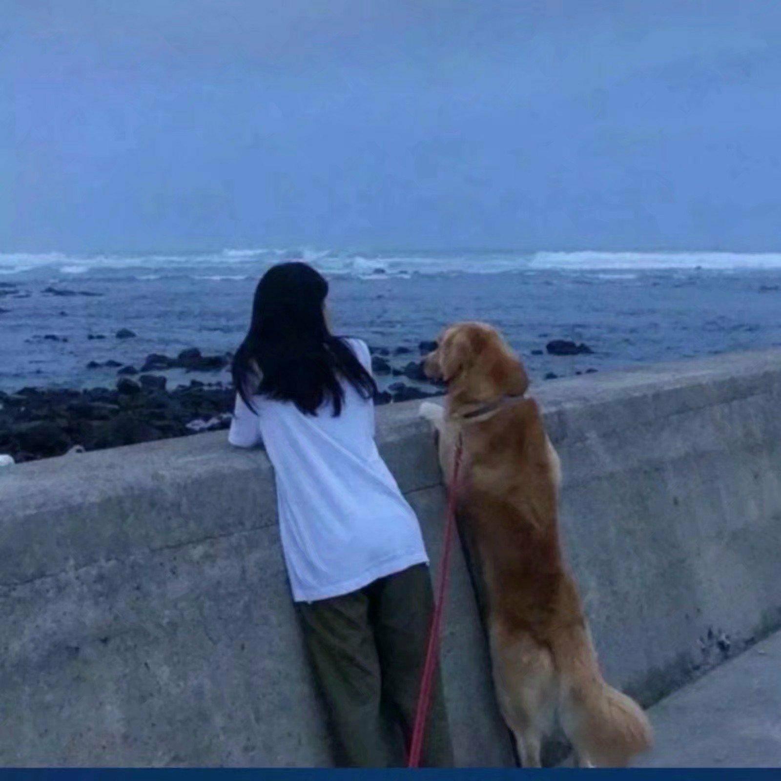治愈系｜想安静下来听的歌
