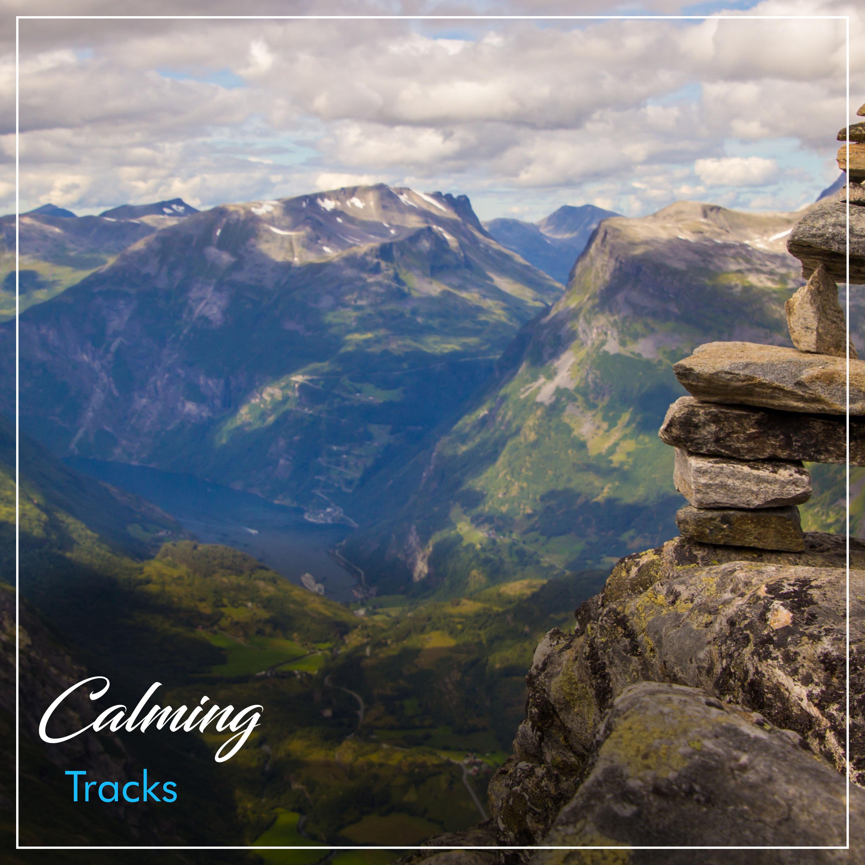 #17 Calming Tracks for Meditation and Yoga专辑