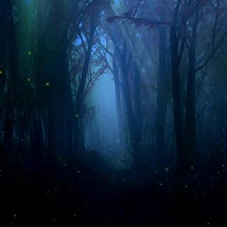 『纯音乐』神秘梦境，魔幻森林