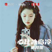 乘风破浪逆流而上 (DJ版)