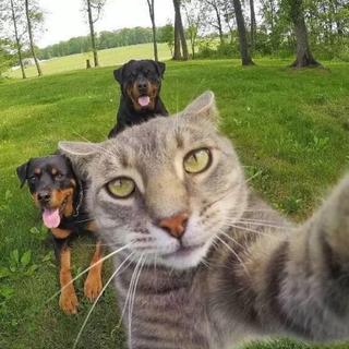 【Leisure time together with lazy song】