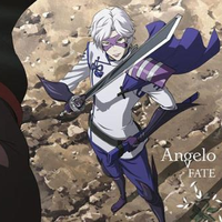 FATE ------战国BASARA