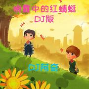 晚霞中的红蜻蜓[DJ阿奇版]