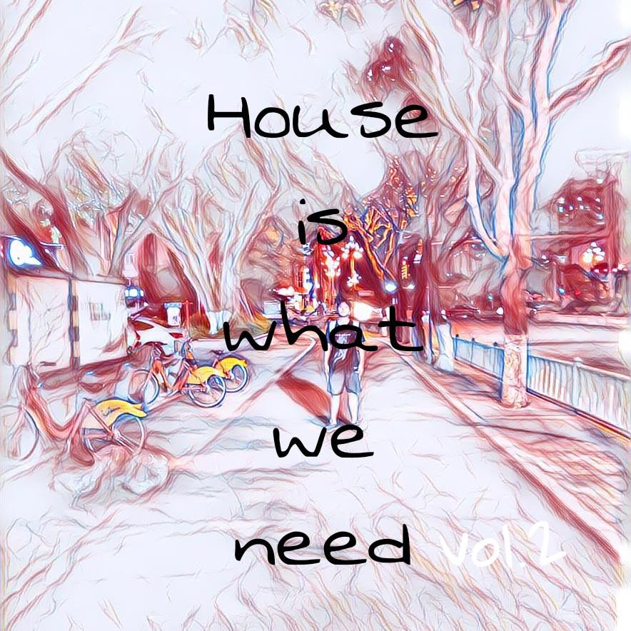 HOUSE IS WHAT WE NEED VOL.2专辑