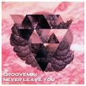 Never Leave You专辑