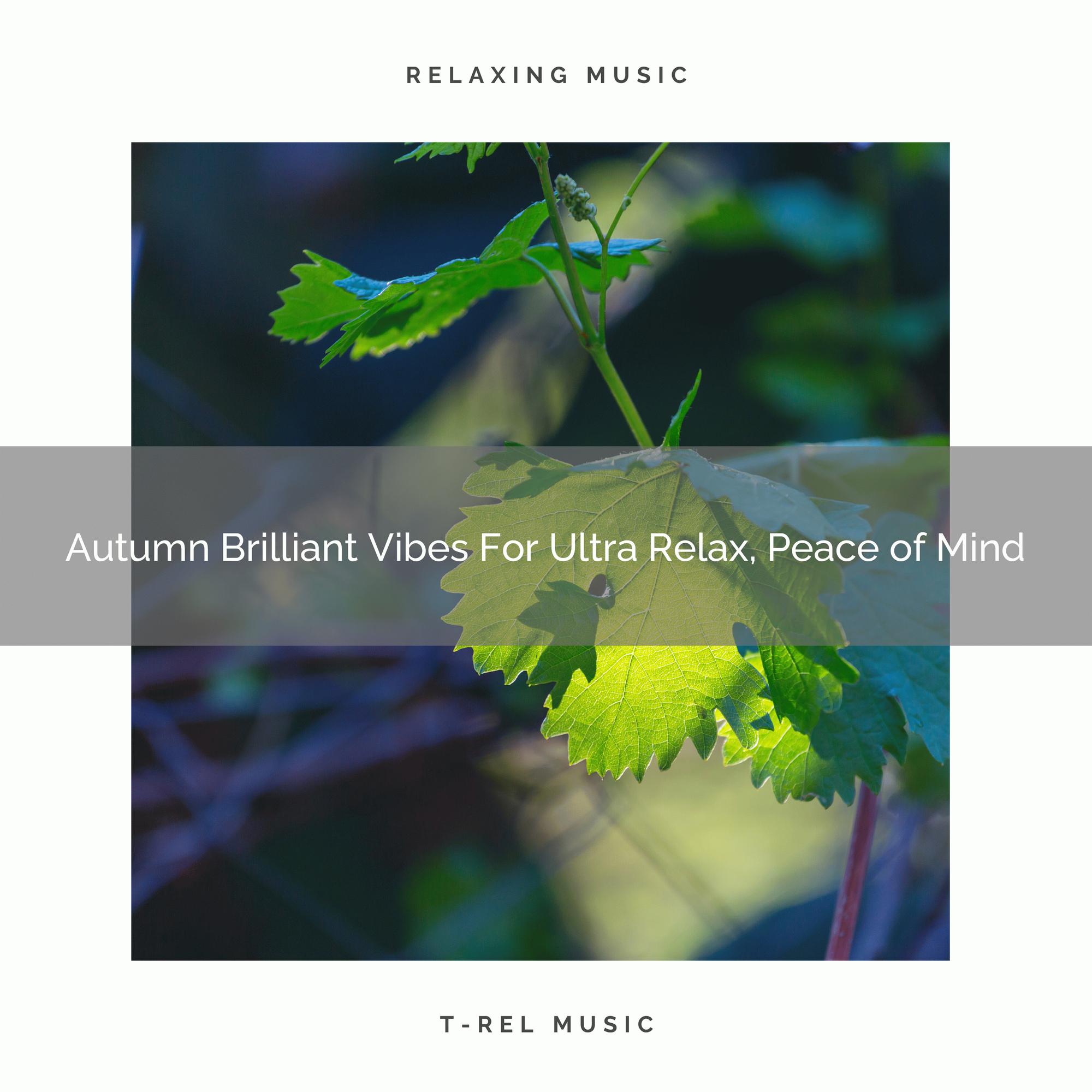 Autumn Brilliant Vibes For Ultra Relax, Peace of Mind