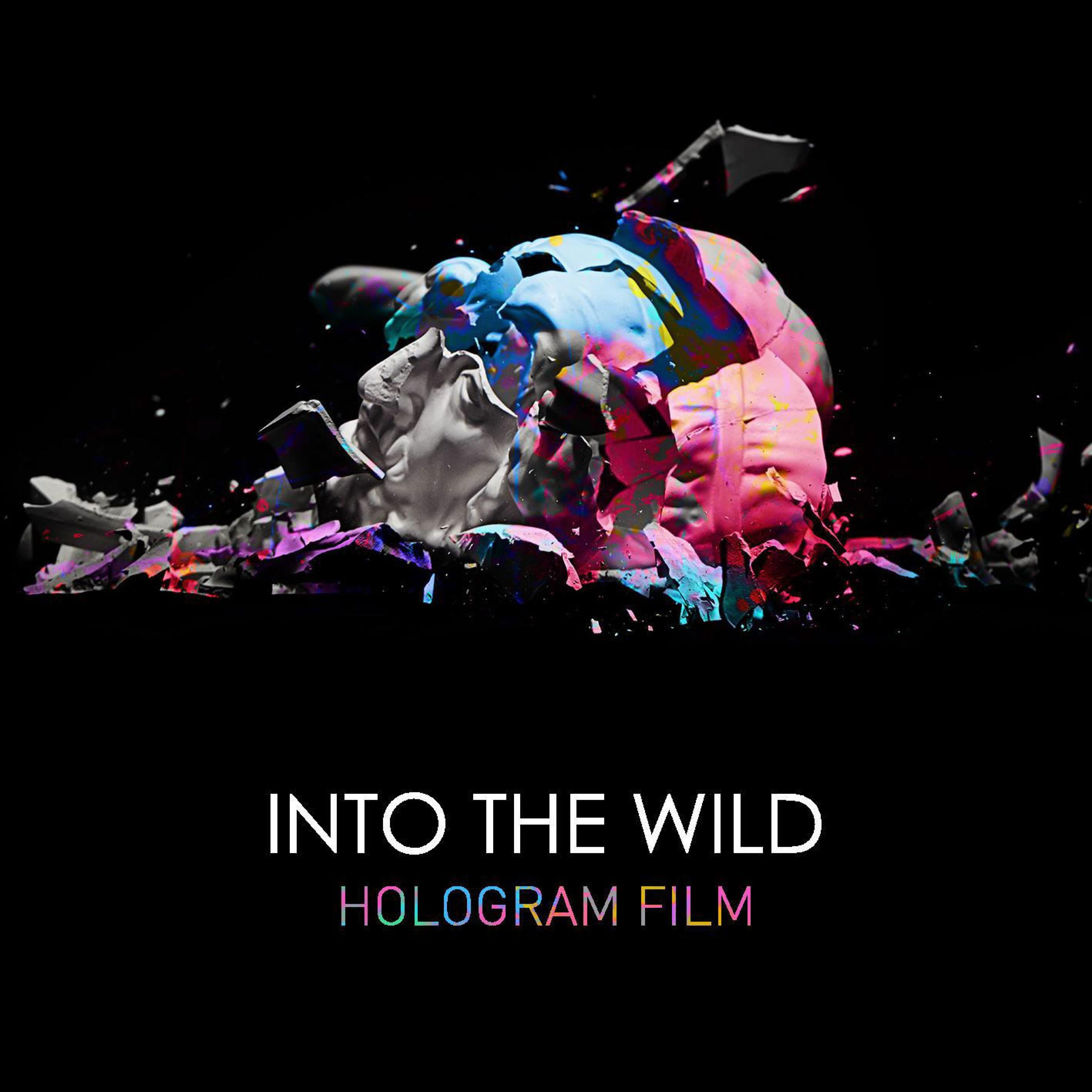 INTO THE WILD