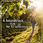 专辑《A Soundtrack for Walking: Rachmaninoff》