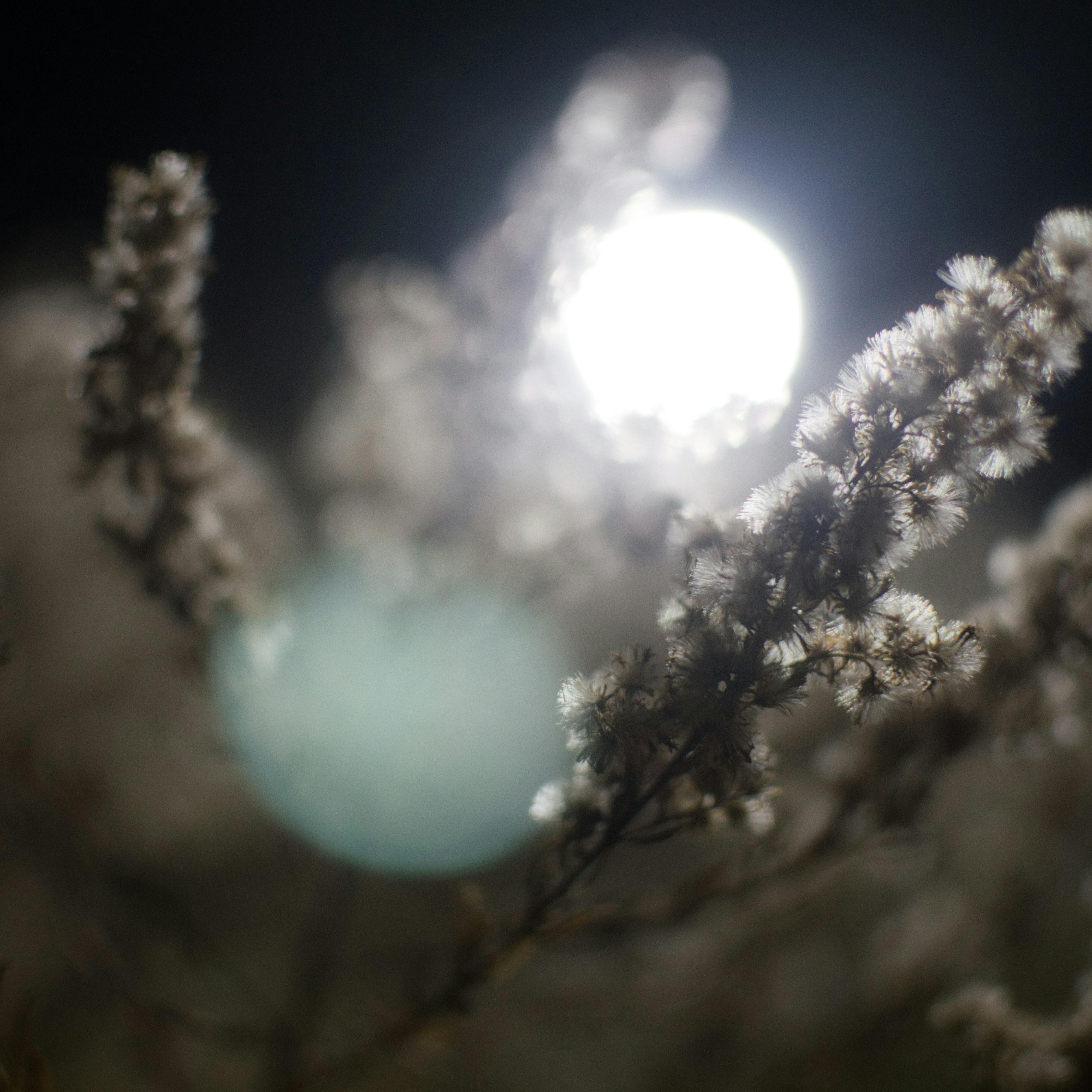 镜花水月