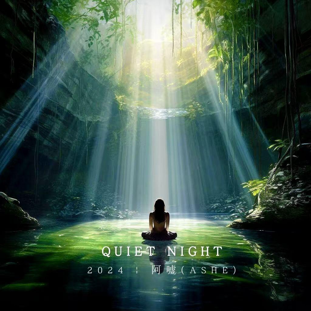 Quiet night