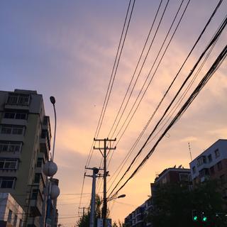 ｛ 冷 西 ｝
