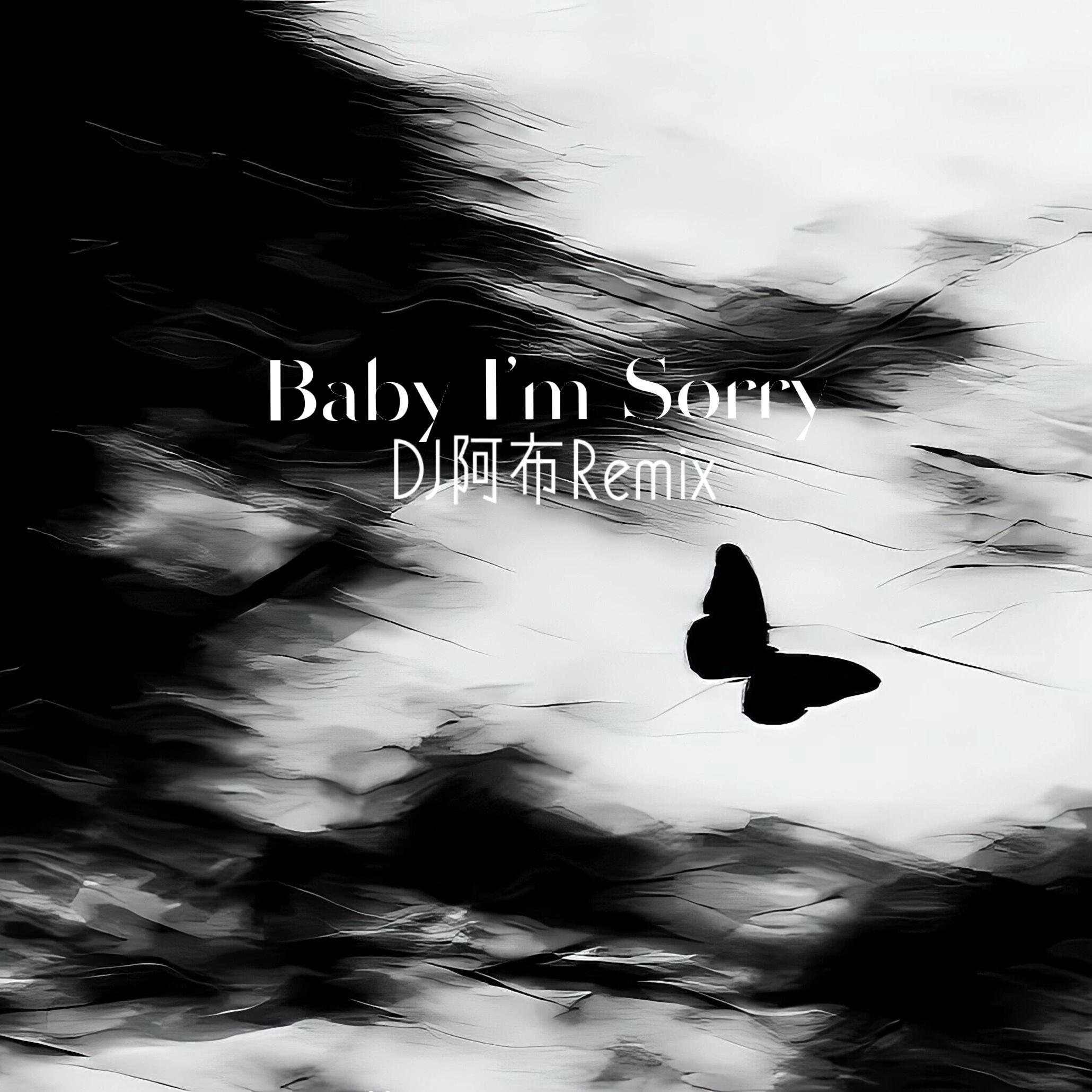 Baby I'm Sorry（DJ阿布版）