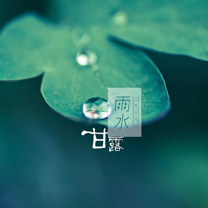 雨水（琵琶）专辑