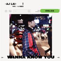 AJ赖煜哲-WANNA KNOW YOU 好想认识你