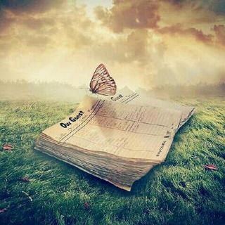 清晨的第一缕阳光