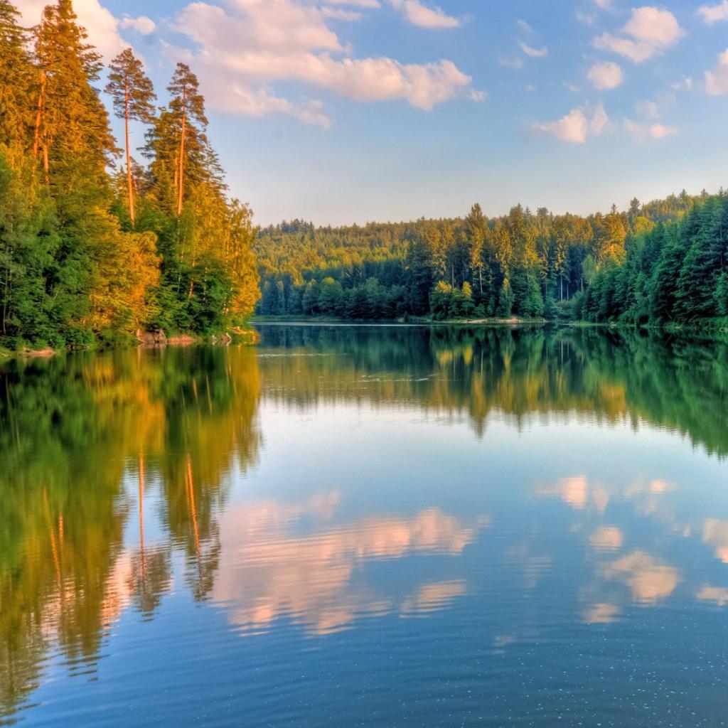 【音乐治疗】疲劳/睡眠/记忆力/恢复元气