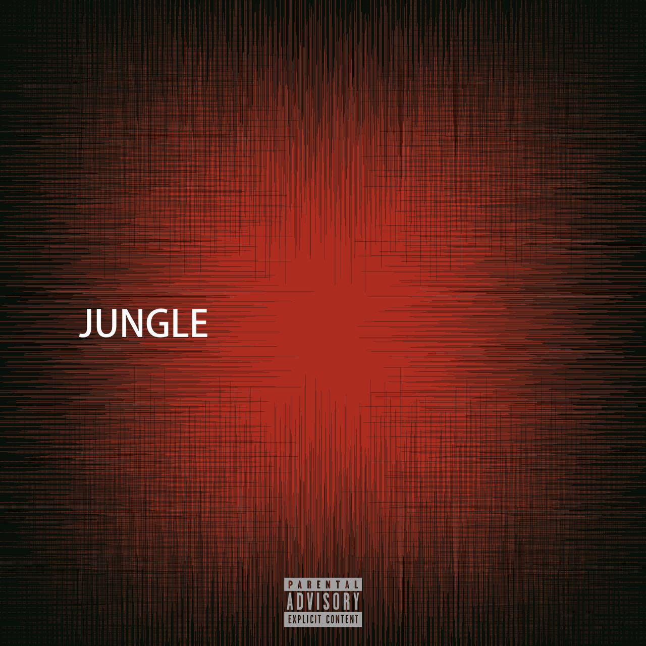 JUNGLE专辑