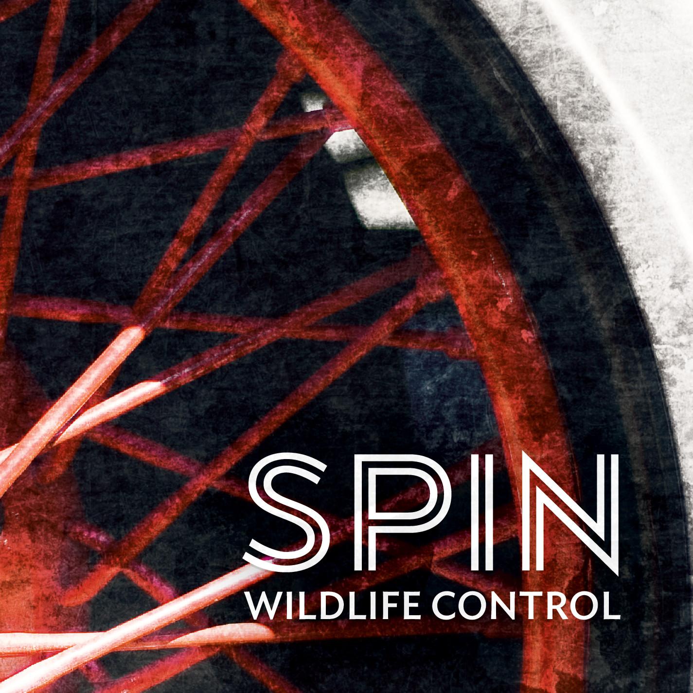 Spin