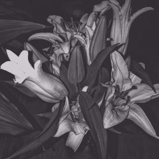 【 死之前都是.假象】