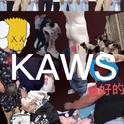 KAWS专辑