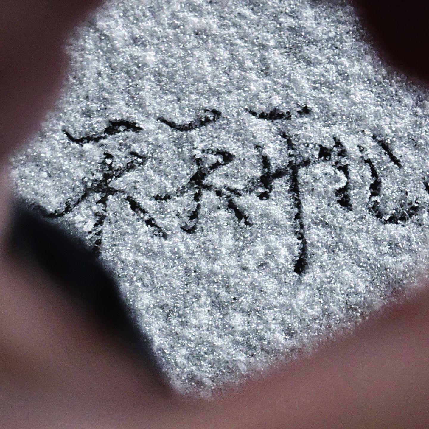 物是人非事事休