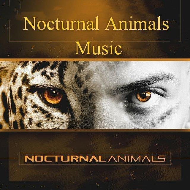 夜行骑士 | Nocturnal Knights Music