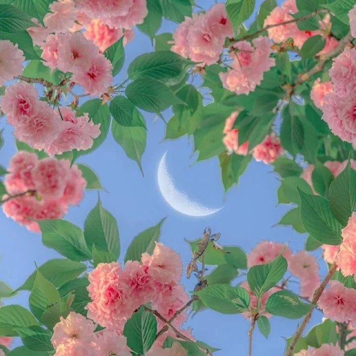『 宝藏轻音 』夏天 好友 街头 烧烤 啤酒 
