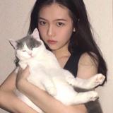 陈维