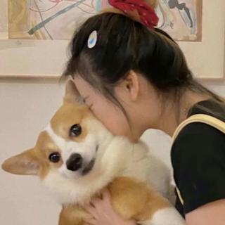 说什么 怎么说 算了吧 早点睡
