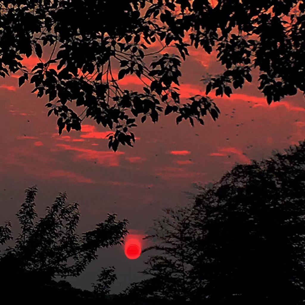 Sunset Rollercoaster