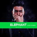 LuckyZhang - Elephant(Original Mix)专辑