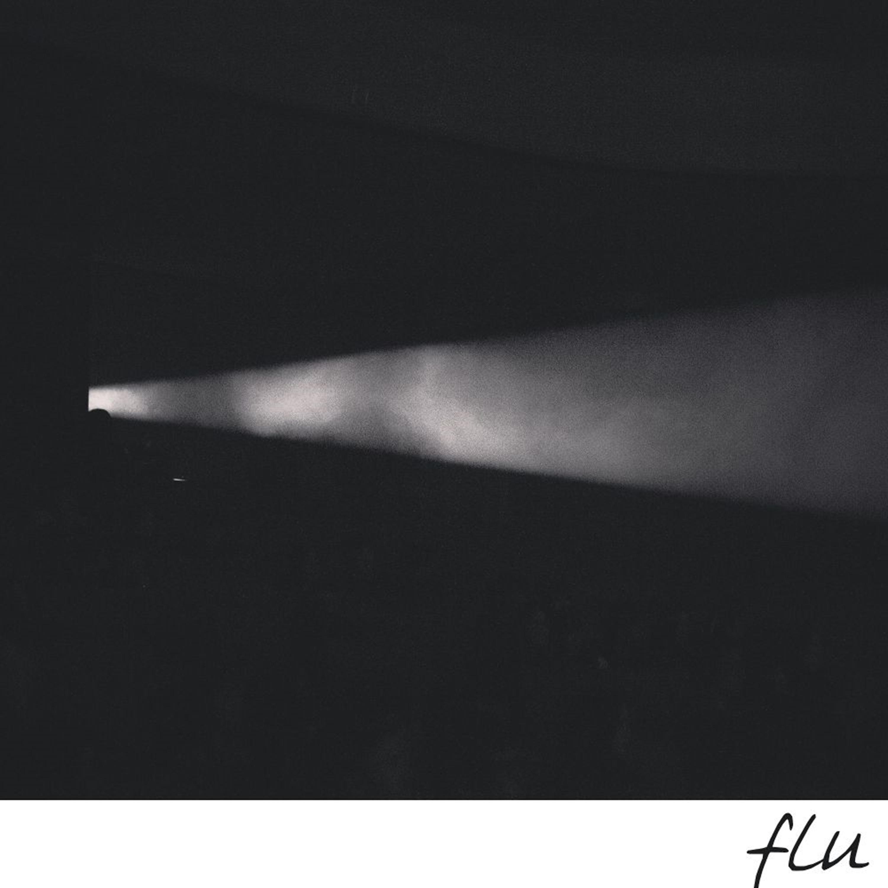 flu