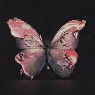 睡觉专用VIII『听说你也在听纯音乐入眠』