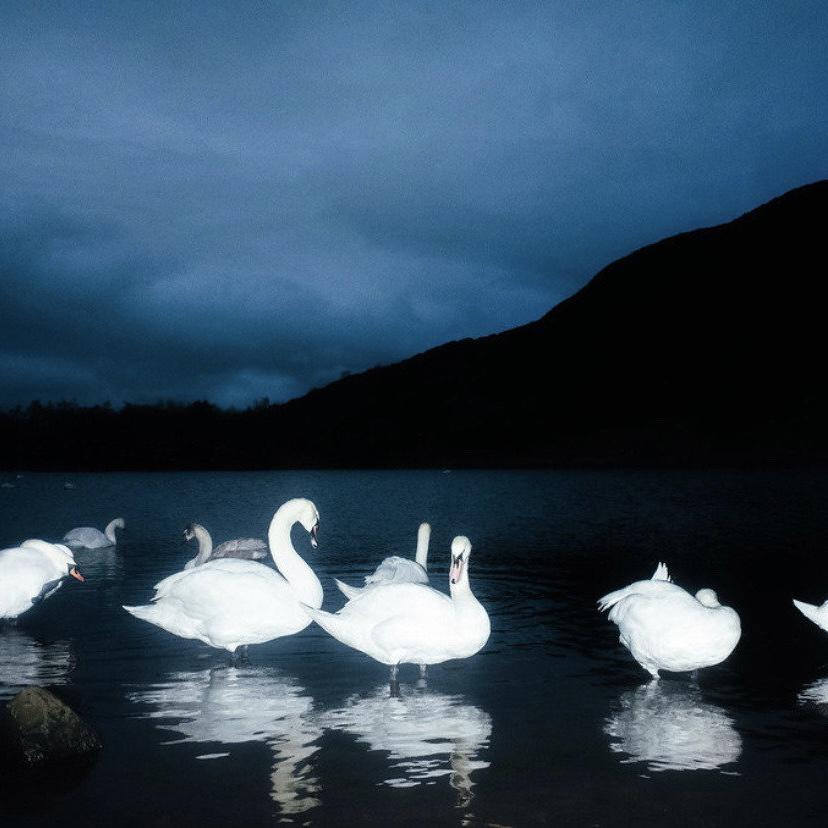 【Free】LonelyOrz | Sad Guitar Type Beat(prod.T.F.G)