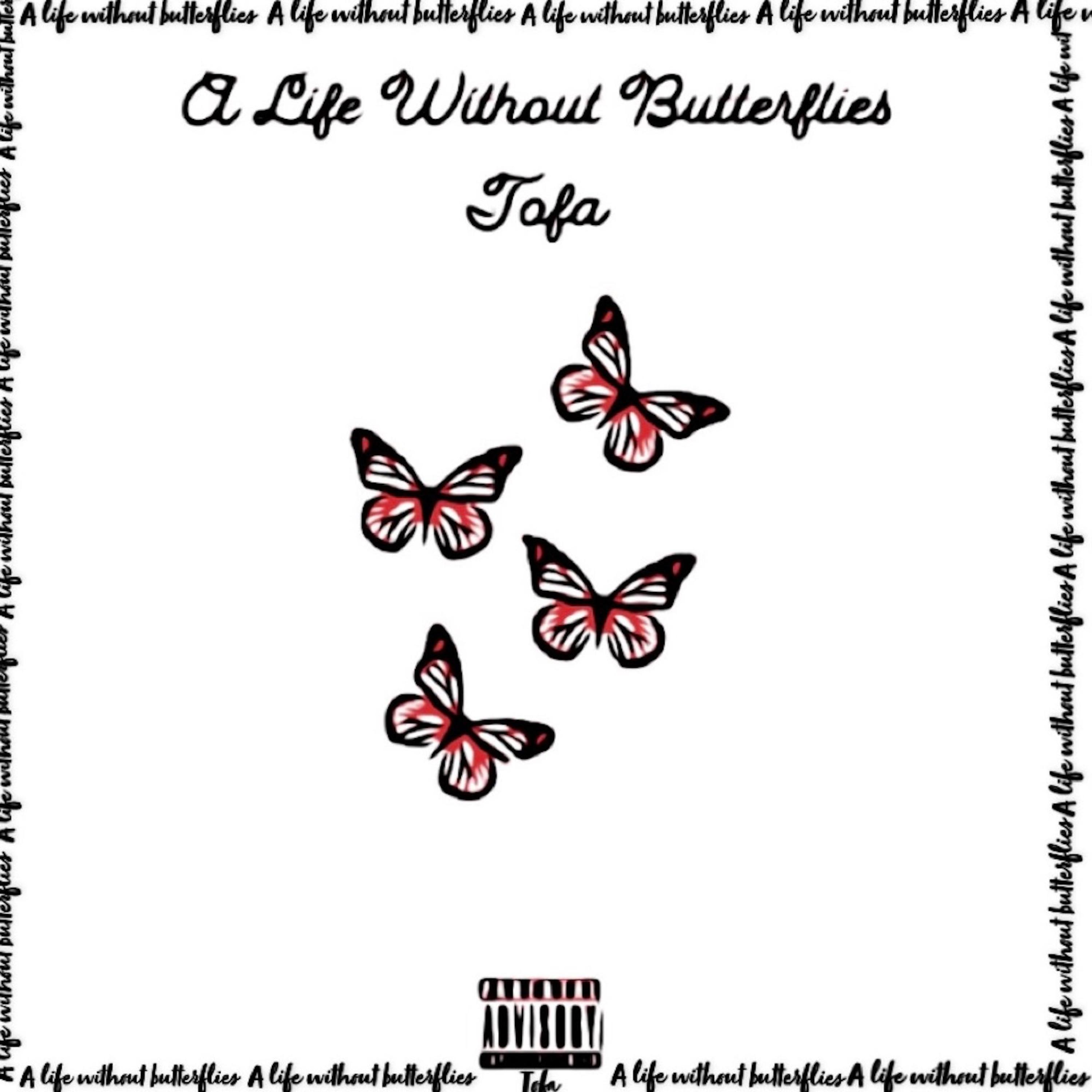 A Life Without Butterflies