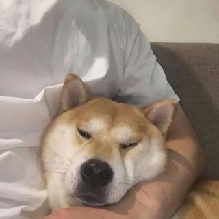 中文DJ 咚鼓经典