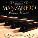 Serie Tributo: Tributo a Manzanero专辑