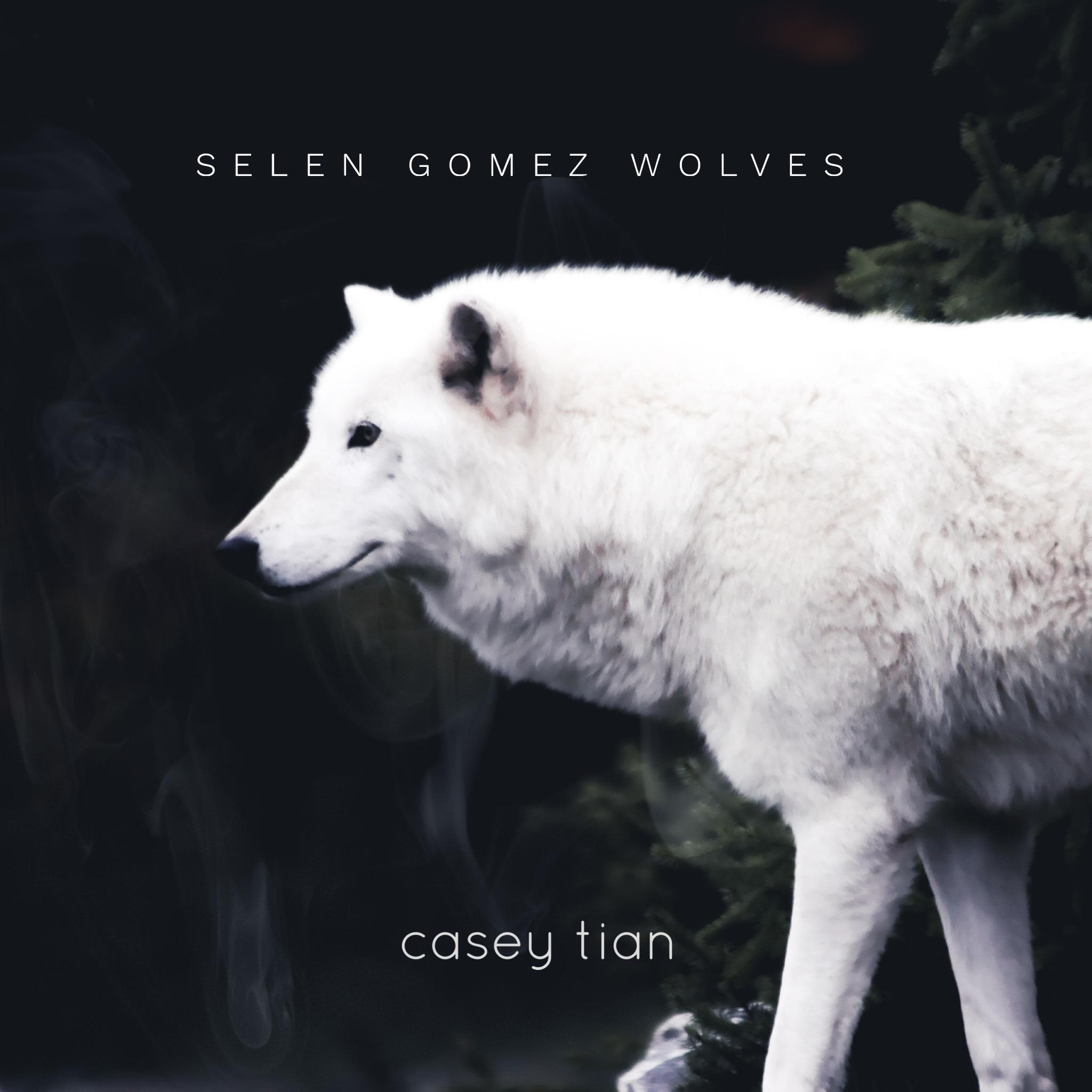 Wolves （Casey tian Remix）专辑