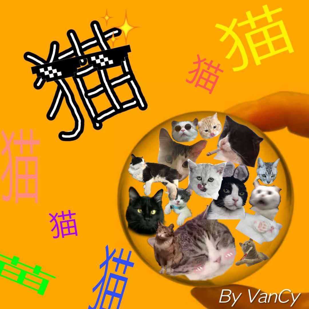 猫专辑