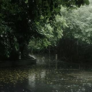 「雨核/绿意的城市在雨里呼吸」