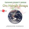 Om Numah Shivaya专辑
