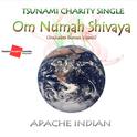 Om Numah Shivaya专辑