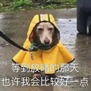 深情不及久伴 厚爱无需多言