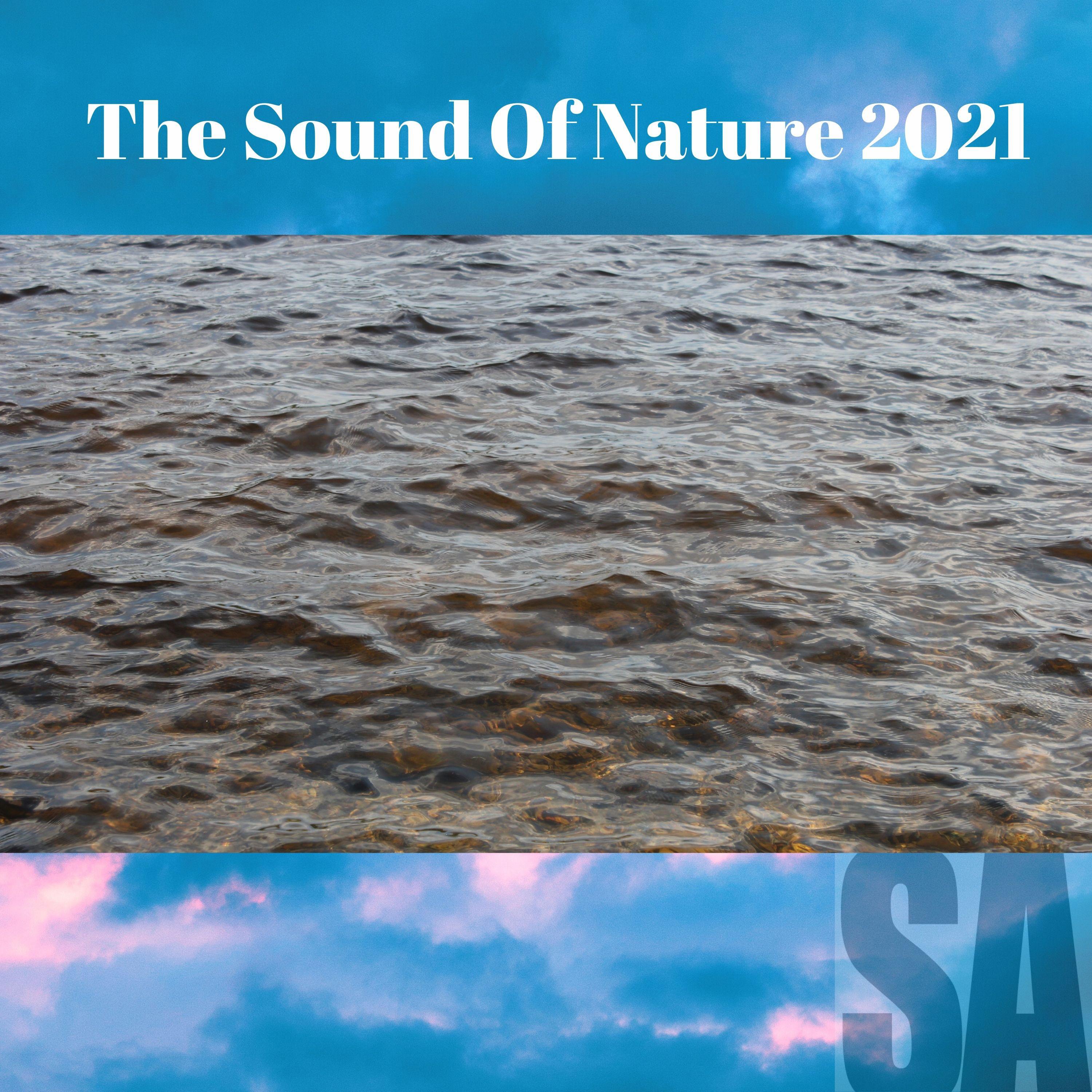 The Sound Of Nature 2021